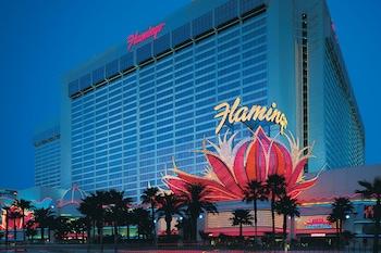 フラミンゴホテル カジノで楽しむ贅沢なギャンブル体験